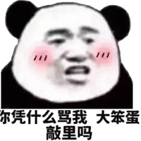 笨蛋表情包