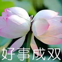 荷花表情包