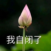 荷花表情包