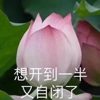 荷花表情包