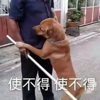 蹦迪表情包