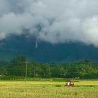 雨后空气清新的图片 下雨后格外清新空气图片