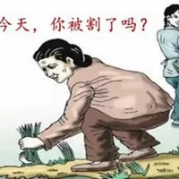 韭菜表情包