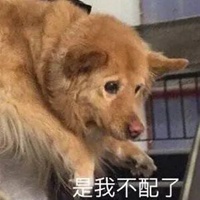 黄狗表情包