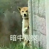 黄狗表情包