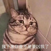 你凶我表情包