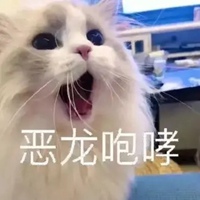 你在外面有猫了表情包