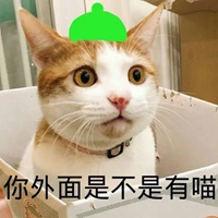 你在外面有猫了表情包