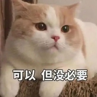 你在外面有猫了表情包