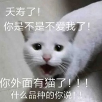 你在外面有猫了表情包