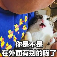 你在外面有猫了表情包