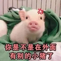 你是猪表情包