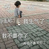 你走表情包