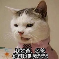 可以表情包