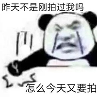 拍一拍表情包