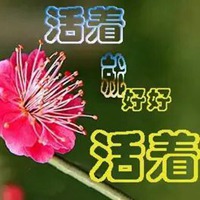 活着头像 好好努力活着的头像文字