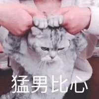 猛男表情包