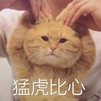 猛男表情包