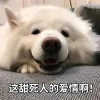 磕cp表情包