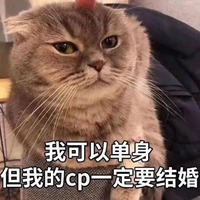 磕cp表情包