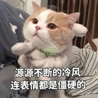 莫得感情表情包