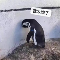 难搞表情包