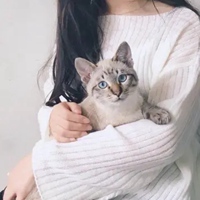 头像女抱猫咪 网红女生抱猫咪可爱头像