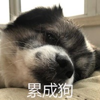 上班累成狗表情包