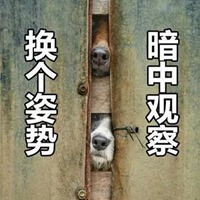 围观表情包