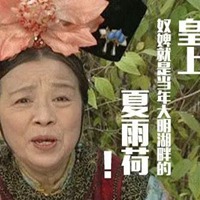 容嬷嬷表情包