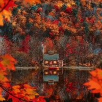 微信头像花秋天的风景 好看唯美秋天风景微信头像
