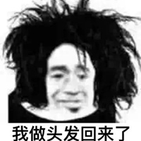 微信头发丝表情包