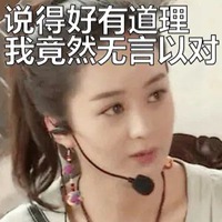 我竟无言以对表情包