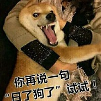 日了狗了表情包