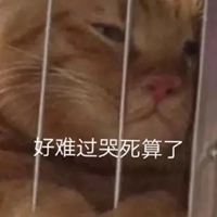 死了算了表情包