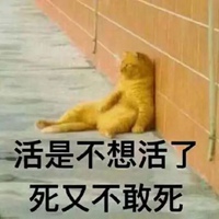 死了算了表情包