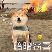 窃喜表情包