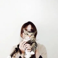 韩系女生抱猫头像高清 抱猫的女生韩系头像