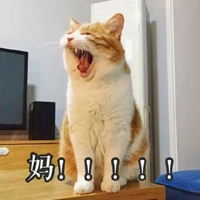 叫妈的猫咪表情包