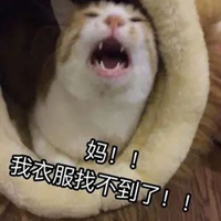 叫妈的猫咪表情包