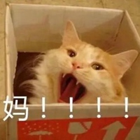 叫妈的猫咪表情包