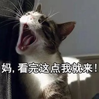 叫妈的猫咪表情包