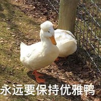 坚强鸭表情包