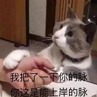 奖状表情包