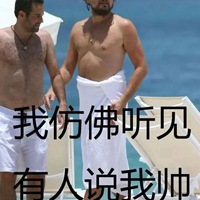 小李子表情包