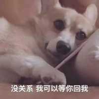 小狗表情包