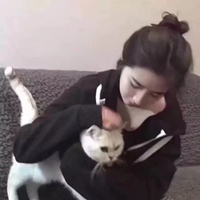 情侣头像抱猫的 真人抱猫的情侣头像一对