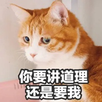 橘猫表情包妙啊高清