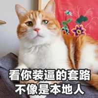 橘猫表情包妙啊高清