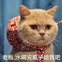 橘猫表情包妙啊高清